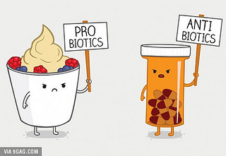 probio vs antibio
